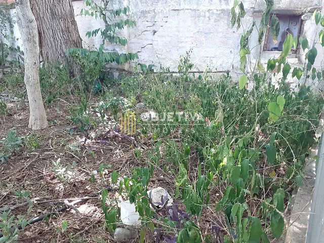 Terreno com 300m², à venda, no bairro Jardim Botânico em Porto Alegre