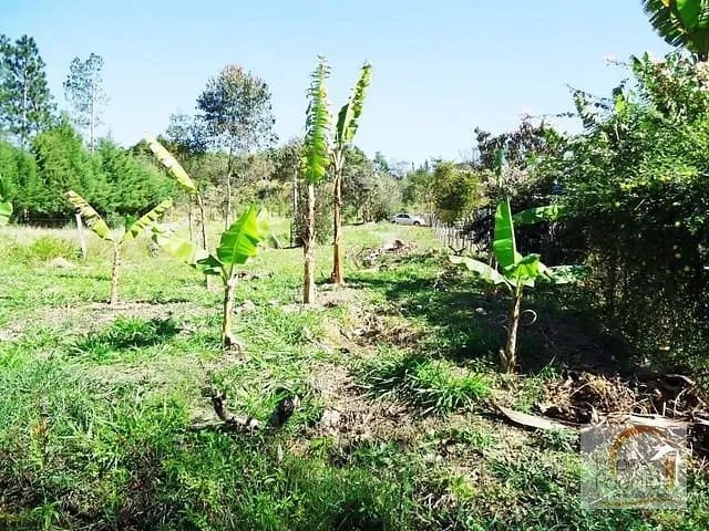 Terreno com 515m², à venda, no bairro Jardim Solaris em Atibaia