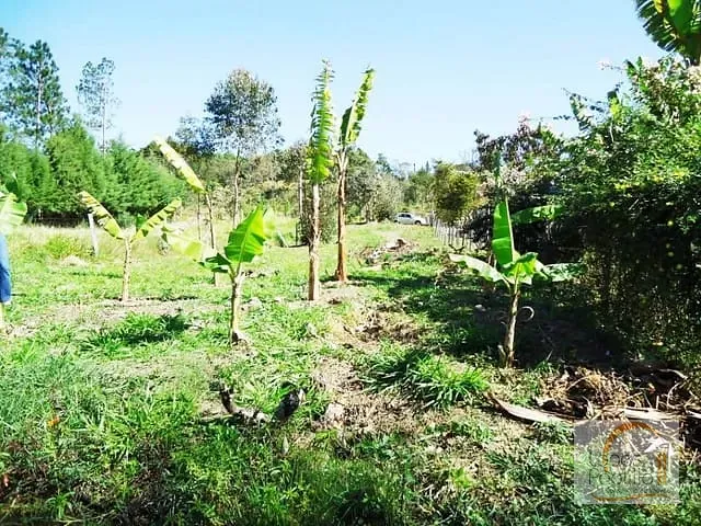 Terreno com 515m², à venda, no bairro Jardim Solaris em Atibaia