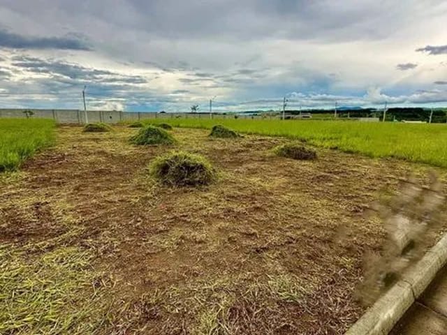 Foto do Terreno - Terreno à venda, 250 m² por R$ 295.000,00 - Jardim das Flores - São José dos Campos/SP | INDEPENDENCE NEGOCIOS IMOBILIARIOS LTDA