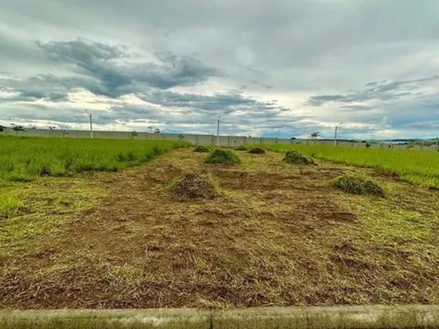 Foto do Terreno - Terreno à venda, 250 m² por R$ 295.000,00 - Jardim das Flores - São José dos Campos/SP | INDEPENDENCE NEGOCIOS IMOBILIARIOS LTDA