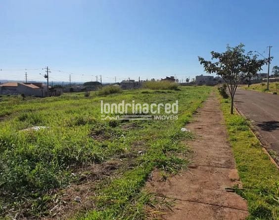 Terreno, 300 m² - Foto 2