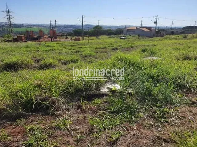 Terreno com 300m², à venda, no bairro Jardim Pioneiros em Londrina