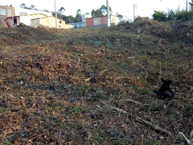 Terreno com 500m², à venda, no bairro Bosque dos Pires em Cotia