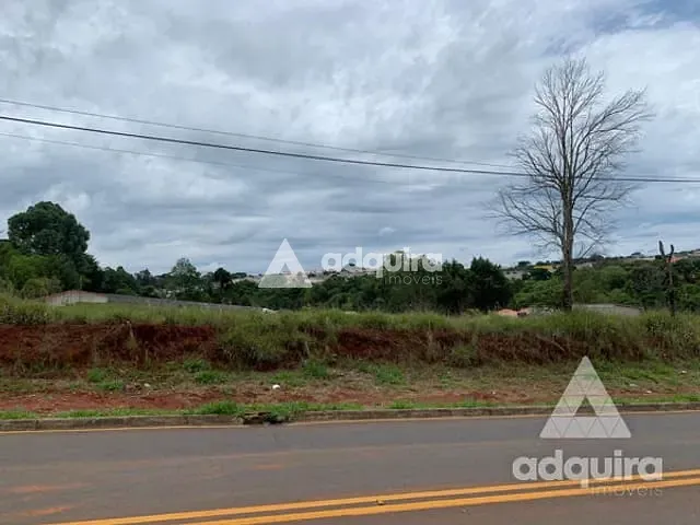Terreno com 8952m², à venda, no bairro Cará-cará em Ponta Grossa