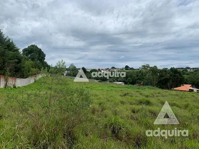 Terreno com 8952m², à venda, no bairro Cará-cará em Ponta Grossa