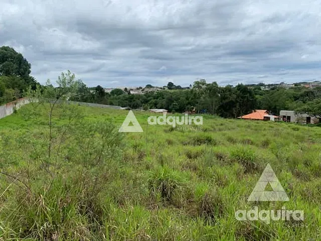 Terreno com 8952m², à venda, no bairro Cará-cará em Ponta Grossa