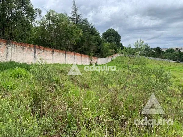 Terreno, 8952 m² - Foto 8