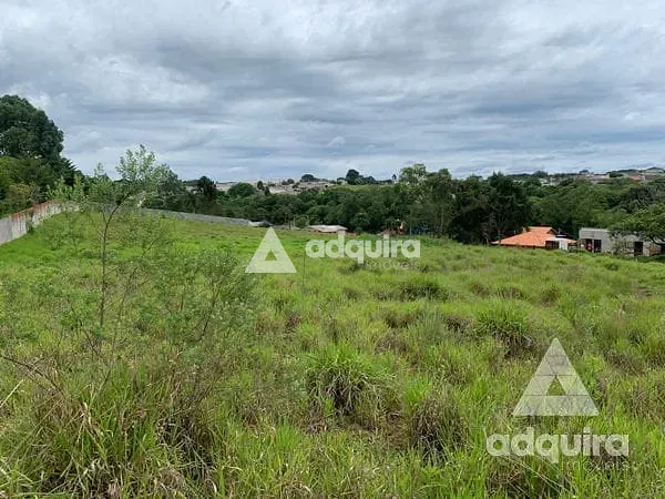 Terreno, 8952 m² - Foto 5