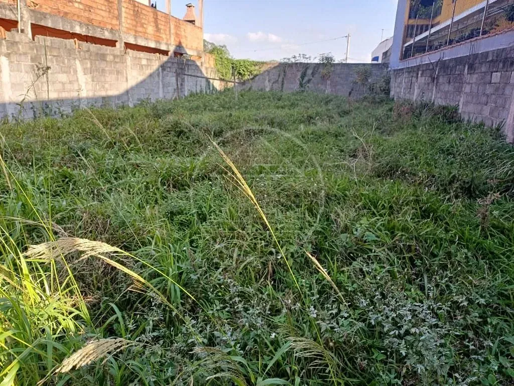 Terreno, 250 m² - Foto 1