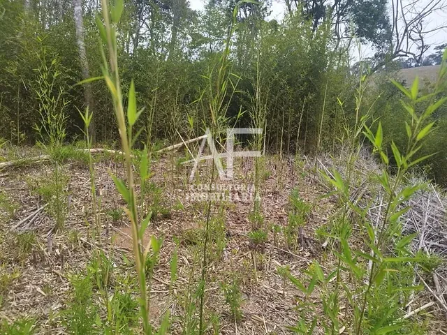 Terreno com 476m², à venda, no bairro Zona Rural em Santo Antônio do Pinhal