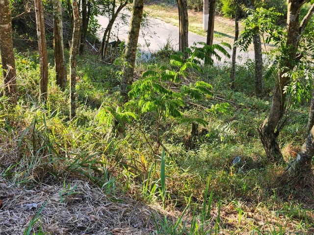 Terreno com 729m², à venda, no bairro Caxambu em Petrópolis