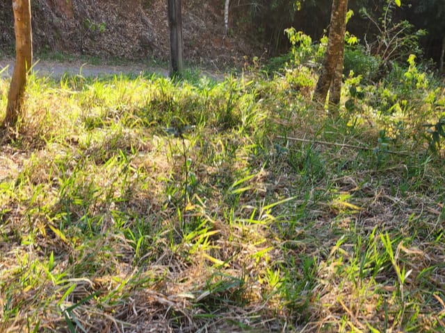 Terreno com 729m², à venda, no bairro Caxambu em Petrópolis