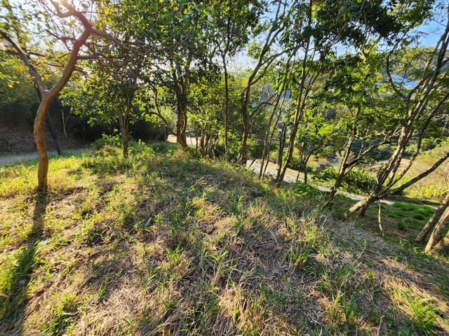 Terreno com 729m², à venda, no bairro Caxambu em Petrópolis