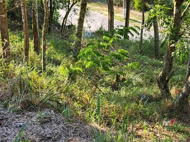 Terreno com 729m², à venda, no bairro Caxambu em Petrópolis