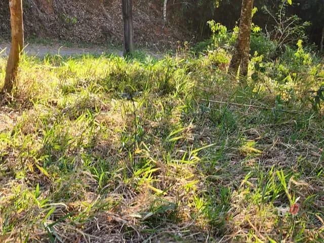 Terreno com 729m², à venda, no bairro Caxambu em Petrópolis