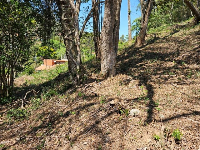 Terreno com 2395m², à venda, no bairro Carangola em Petrópolis