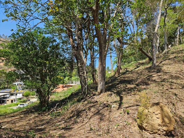 Terreno com 2395m², à venda, no bairro Carangola em Petrópolis