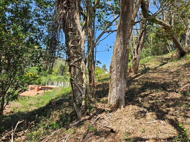 Terreno com 2395m², à venda, no bairro Carangola em Petrópolis
