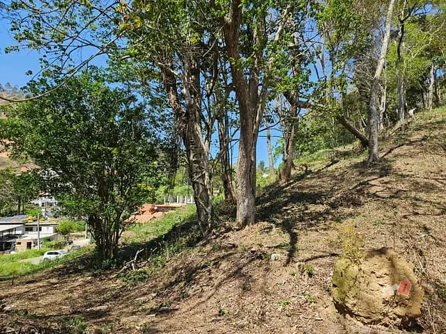 Terreno com 2395m², à venda, no bairro Carangola em Petrópolis