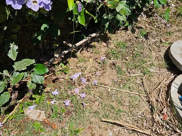 Terreno com 2395m², à venda, no bairro Carangola em Petrópolis
