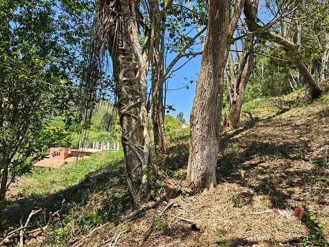 Terreno com 2395m², à venda, no bairro Carangola em Petrópolis