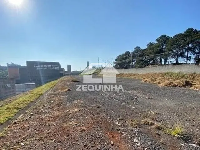 Terreno com 5700m², para alugar, no bairro Jardim Mutinga em Barueri