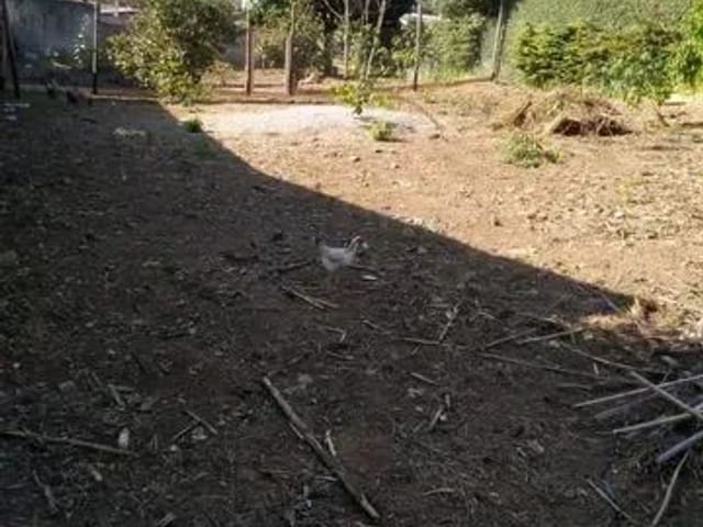 Foto do Terreno - Terreno à venda, 870 m² por R$ 270.000,00 - Primavera I - São José dos Campos/SP | INDEPENDENCE NEGOCIOS IMOBILIARIOS LTDA