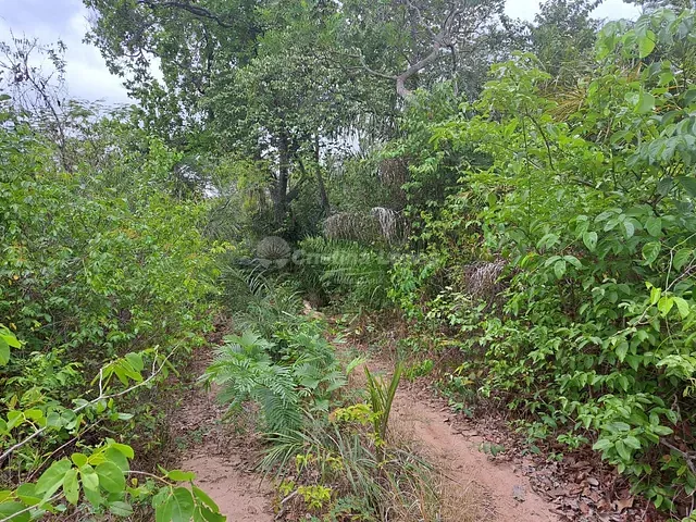 Terreno com 4180000m², à venda, no bairro Zona Rural em Matões