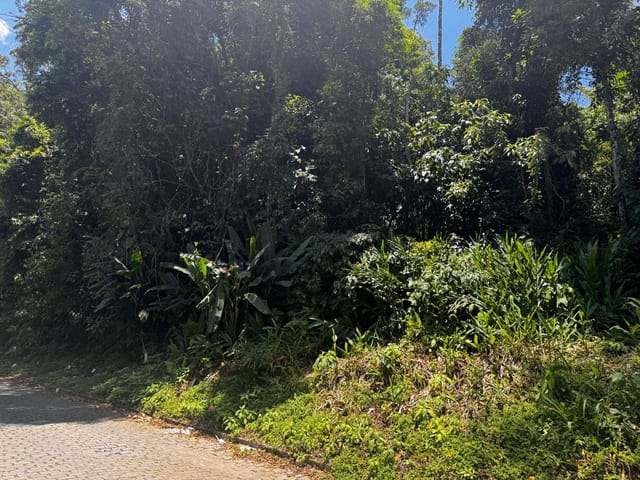 Terreno com 785m², à venda, no bairro Quitandinha em Petrópolis