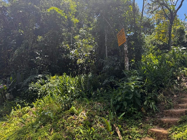 Terreno com 785m², à venda, no bairro Quitandinha em Petrópolis