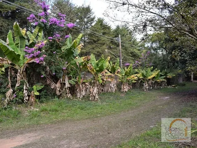 Terreno com 2516m², à venda, no bairro Jardim Estância Brasil em Atibaia