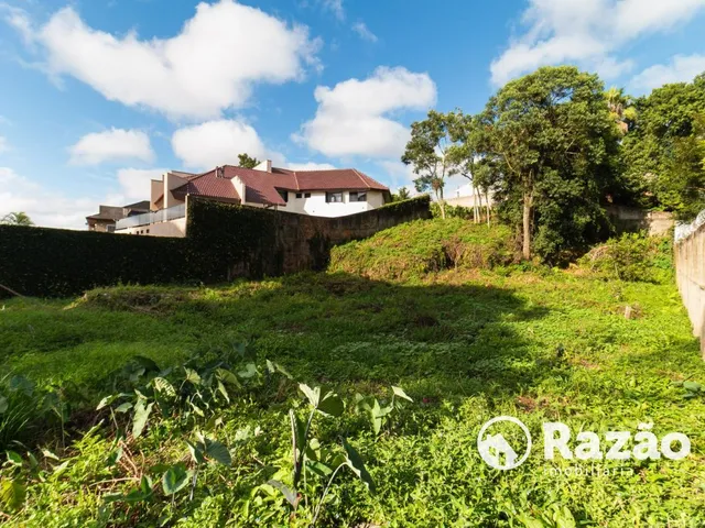 Terreno para alugar, no bairro São Lourenço em Curitiba