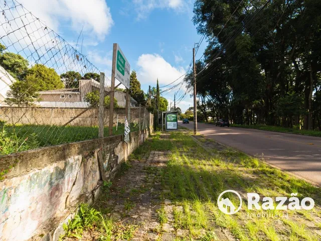 Terreno para alugar, no bairro São Lourenço em Curitiba