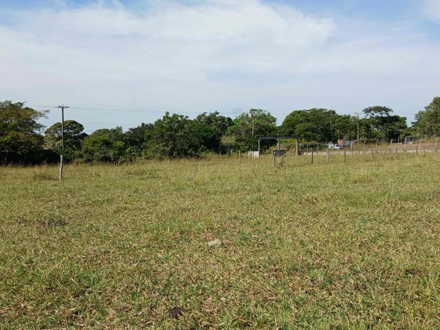 Terreno com 4250m², à venda, no bairro Parque Aeroporto em Campos dos Goytacazes