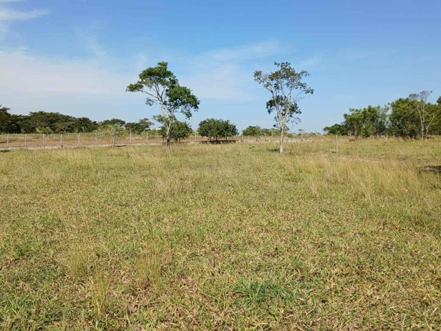 Terreno com 4250m², à venda, no bairro Parque Aeroporto em Campos dos Goytacazes