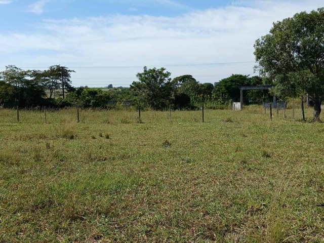 Terreno com 4250m², à venda, no bairro Parque Aeroporto em Campos dos Goytacazes
