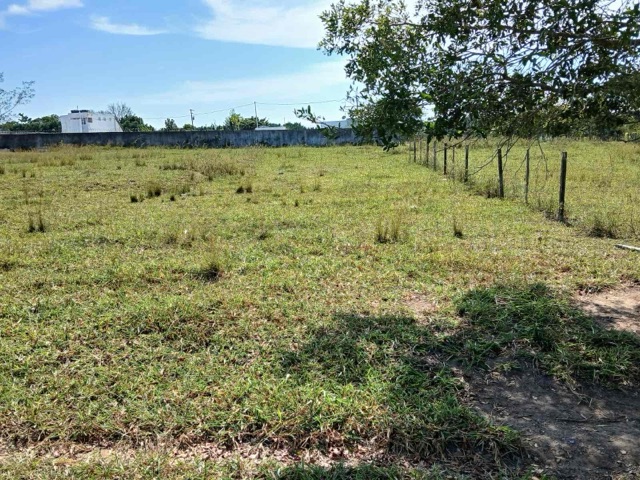 Terreno com 4250m², à venda, no bairro Parque Aeroporto em Campos dos Goytacazes