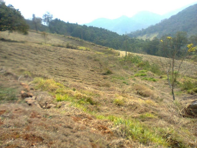 Foto do Terreno - Terreno à venda, Mato Dentro, Itajubá. | MOHALLEM e LOPES CORRETAGEM E ADMINISTRACAO DE IMOVEIS LTDA