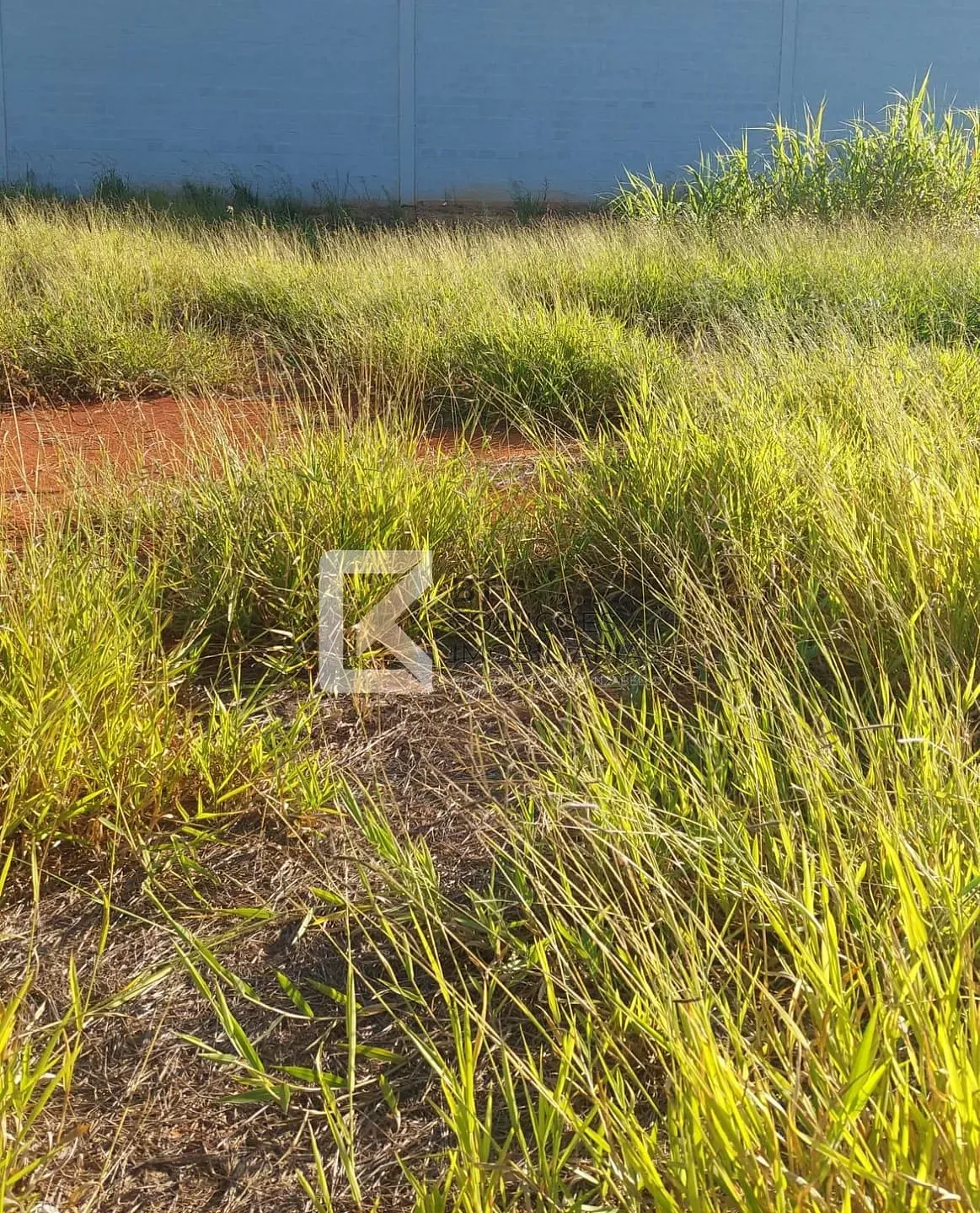 Terreno, 500 m² - Foto 14