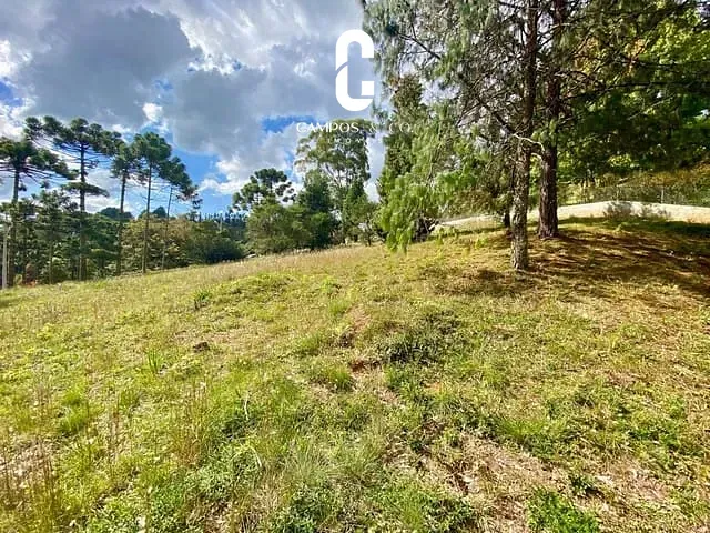 Terreno com 1091m², à venda, no bairro Campos Do Jordão em Campos Do Jordão