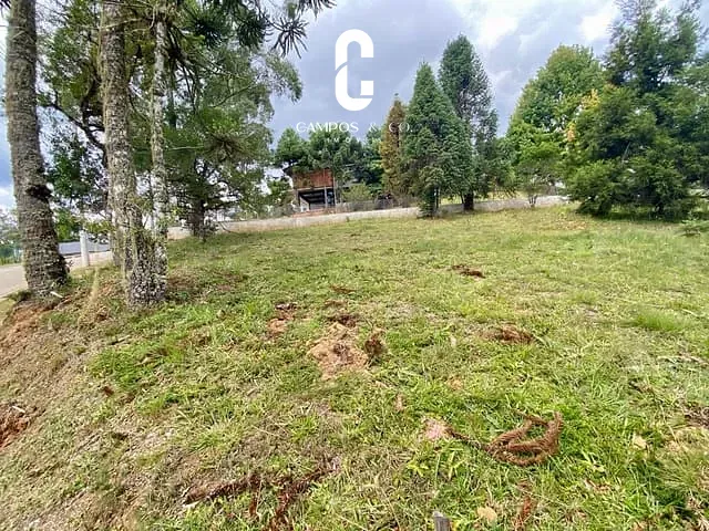 Terreno com 1091m², à venda, no bairro Campos Do Jordão em Campos Do Jordão