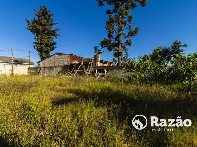 Terreno para alugar, no bairro Tingui em Curitiba