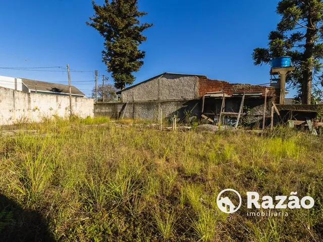 Terreno para alugar, no bairro Tingui em Curitiba