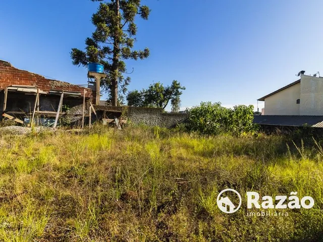 Terreno para alugar, no bairro Tingui em Curitiba