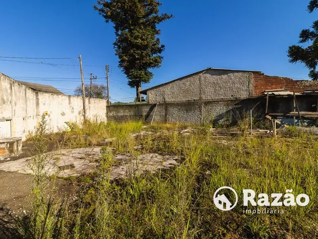 Terreno para alugar, no bairro Tingui em Curitiba