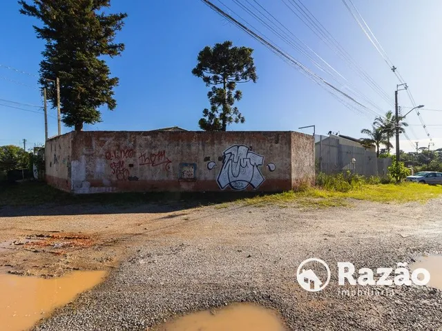 Terreno para alugar, no bairro Tingui em Curitiba
