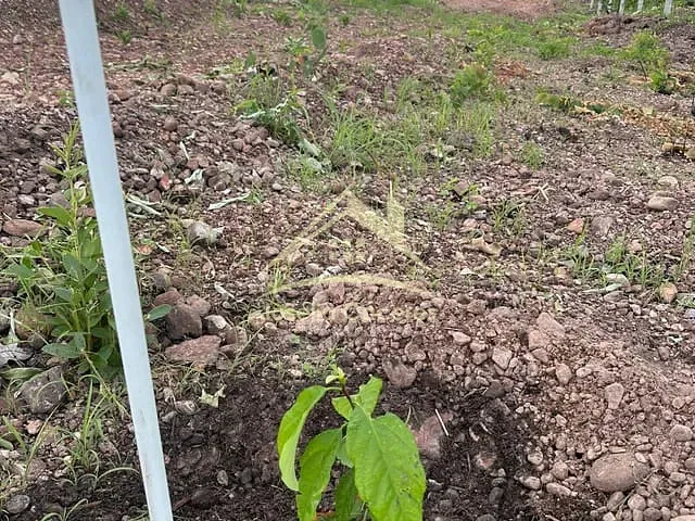 Terreno com 7080m², à venda, no bairro Ribeirão do Lipa em Cuiabá