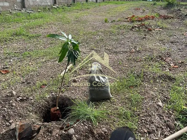 Terreno com 7080m², à venda, no bairro Ribeirão do Lipa em Cuiabá
