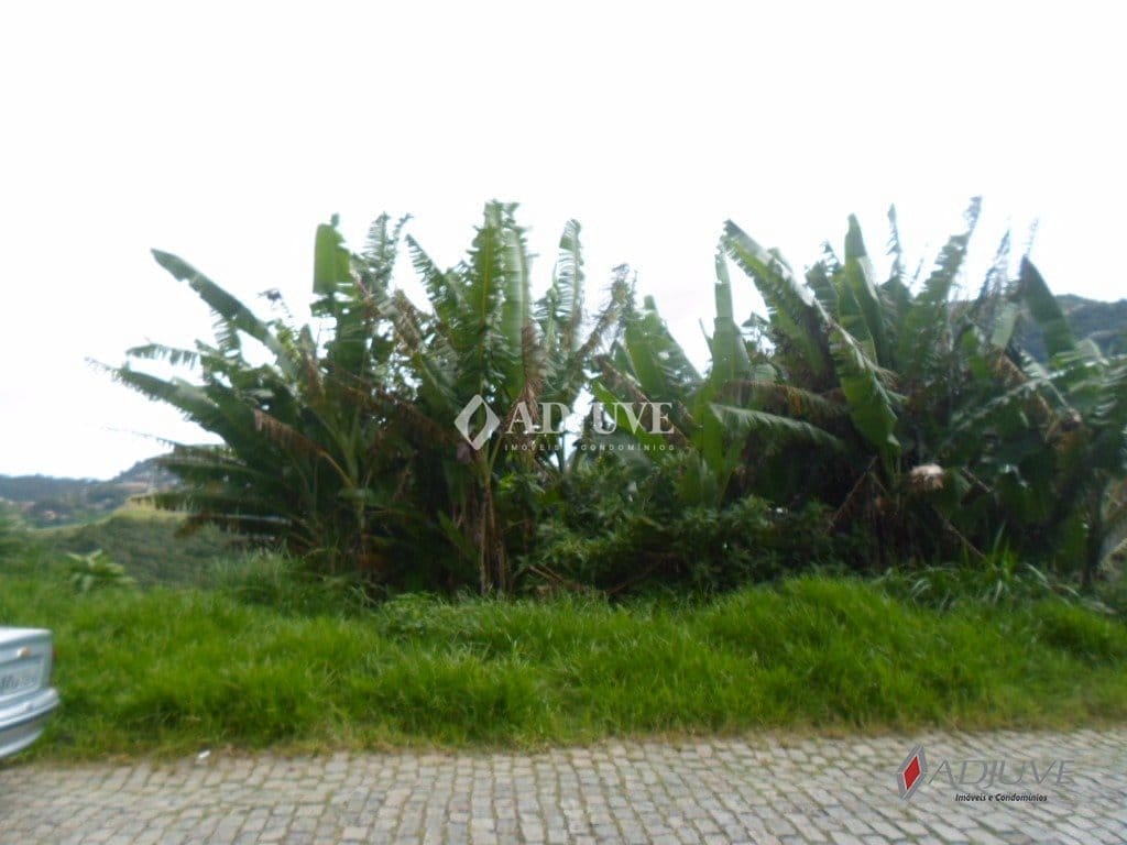 Terreno à venda, 1200m² - Foto 6